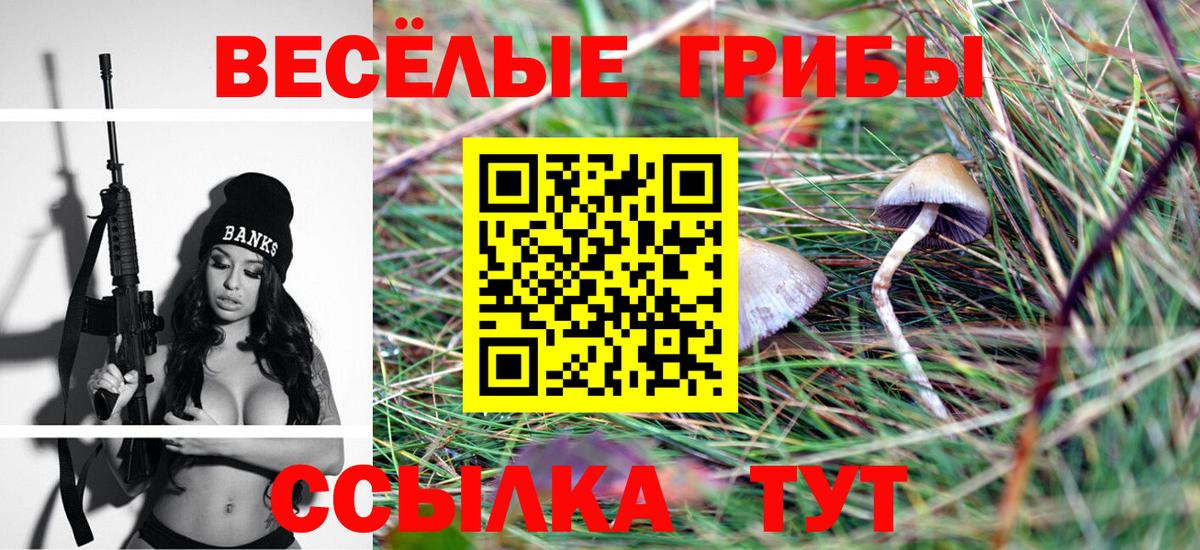 Галлюциногенные грибы ЛСД Рославль