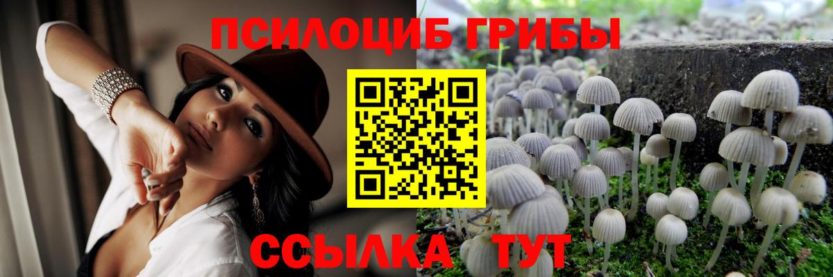 Галлюциногенные грибы мухоморы  Галлюциногенные грибы Psilocybine cubensis  Вход с VPN  Рославль 